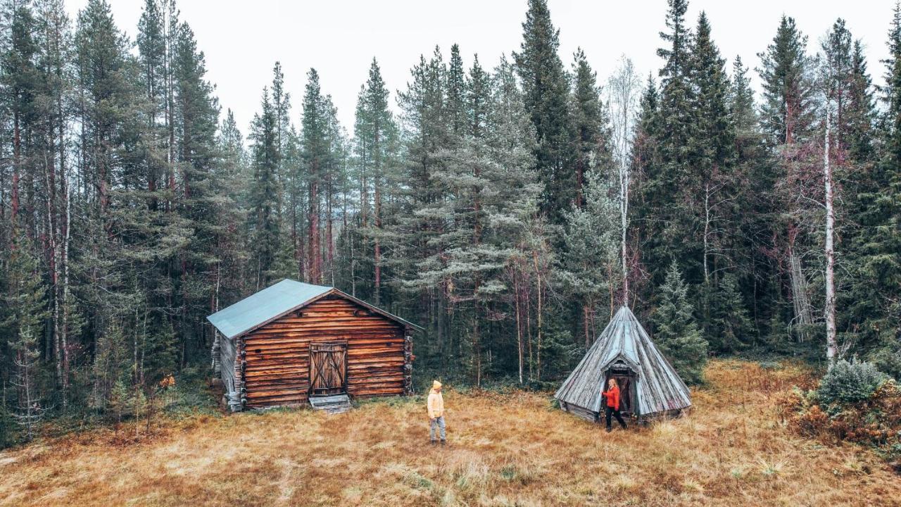 Taiga Forest Lodge Gällivare Eksteriør billede