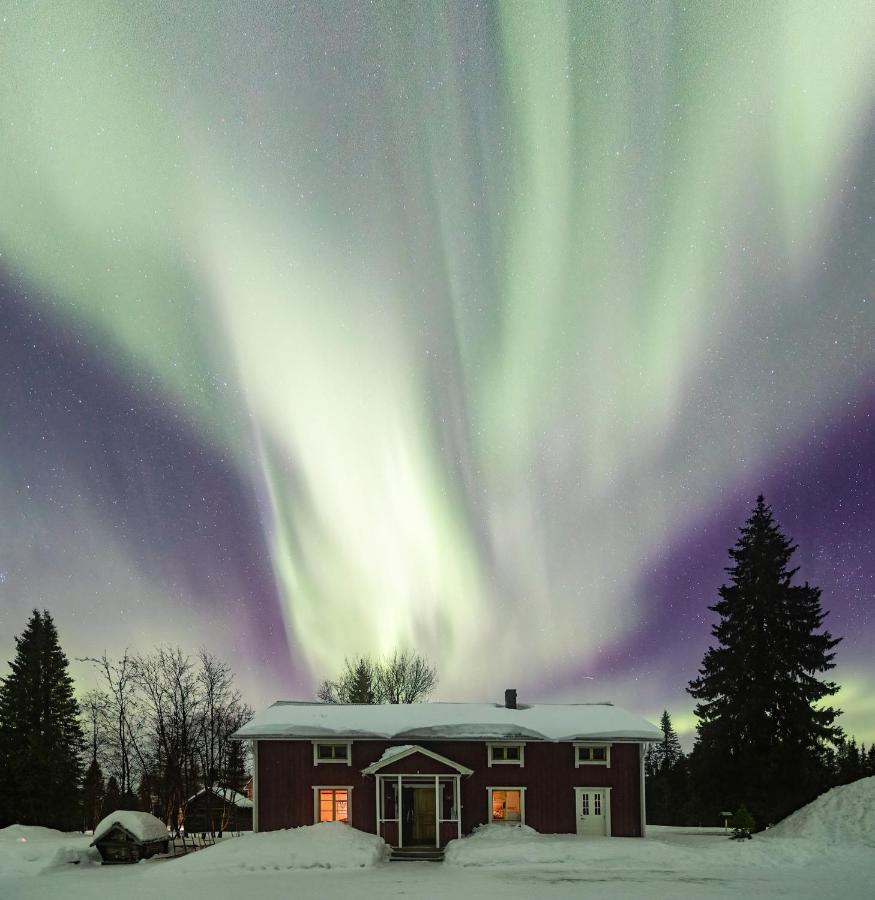 Taiga Forest Lodge Gällivare Eksteriør billede